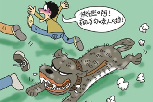 網(wǎng)站收錄在網(wǎng)站優(yōu)化中起到什么作用？