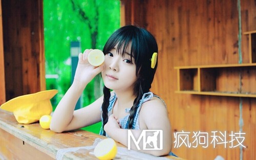 SEO與SEM如何作抉擇？