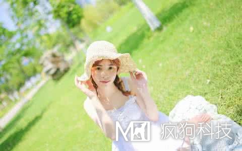 網(wǎng)站SEO優(yōu)化中應該查看哪些數據？